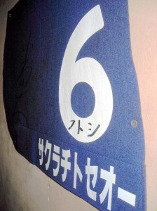 小島太の６番のゼッケンなので、９４年10/30天皇賞６着ｏｒ９５年6/4の宝塚記念７着。